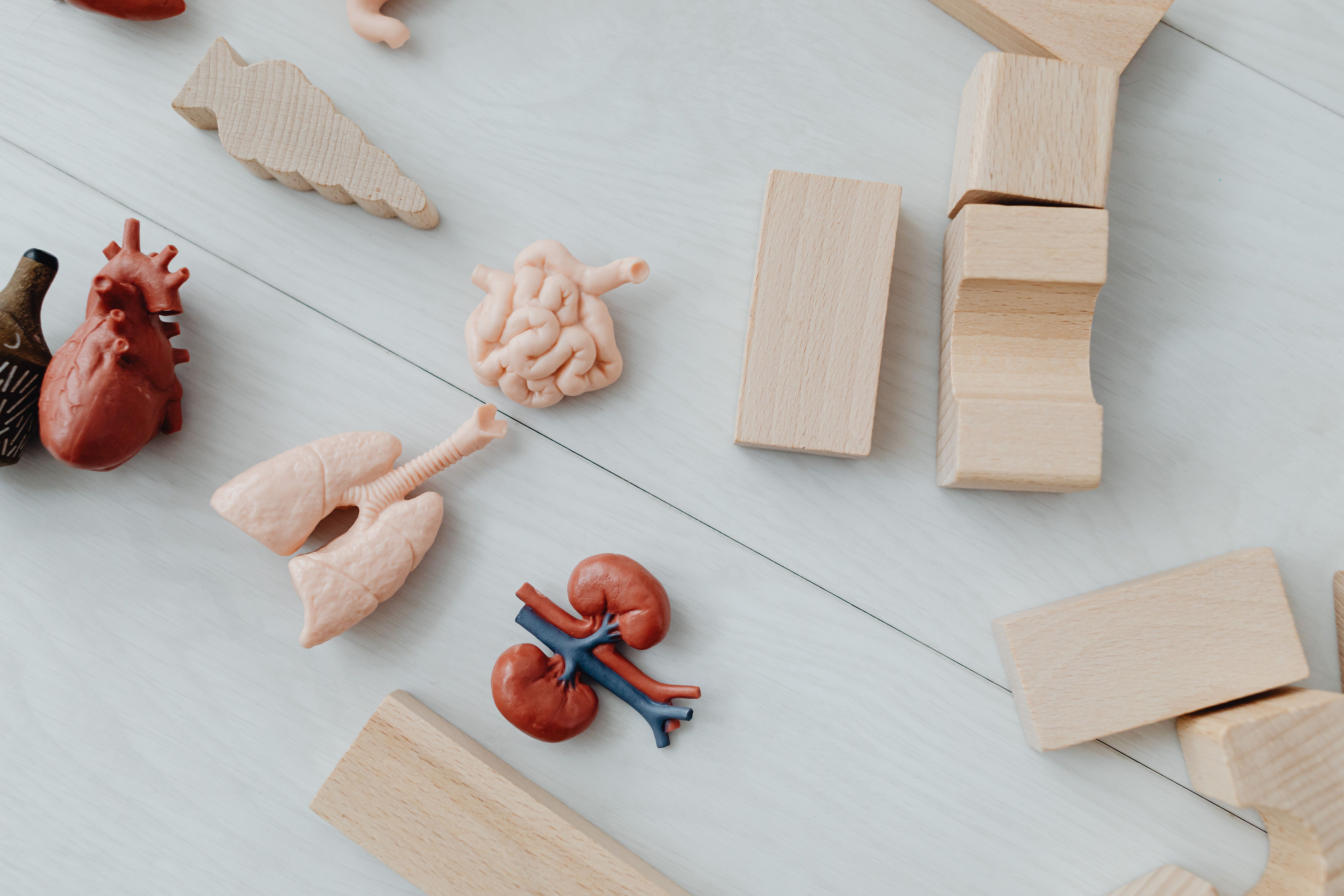 How Do the Kidneys Primarily Respond to Systemic Acidosis?